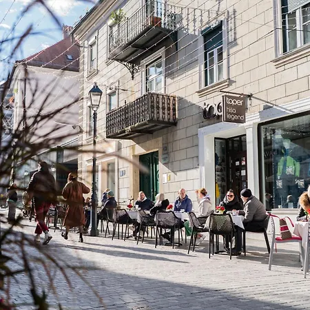 Celje Center Apartment Exterior photo